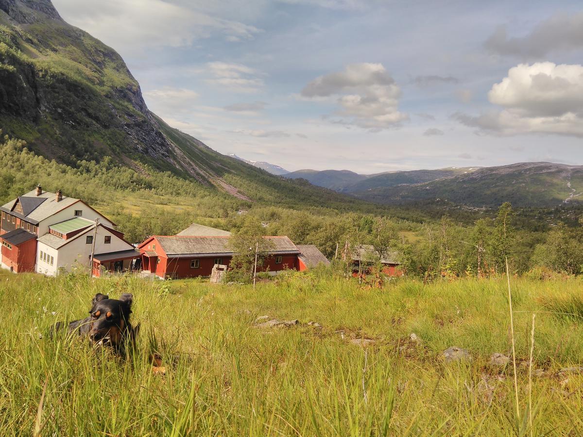 Voss Mountain Lodge Mjolfjell المظهر الخارجي الصورة