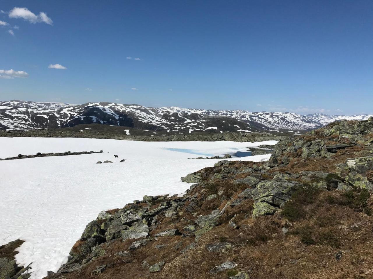 Voss Mountain Lodge Mjolfjell المظهر الخارجي الصورة